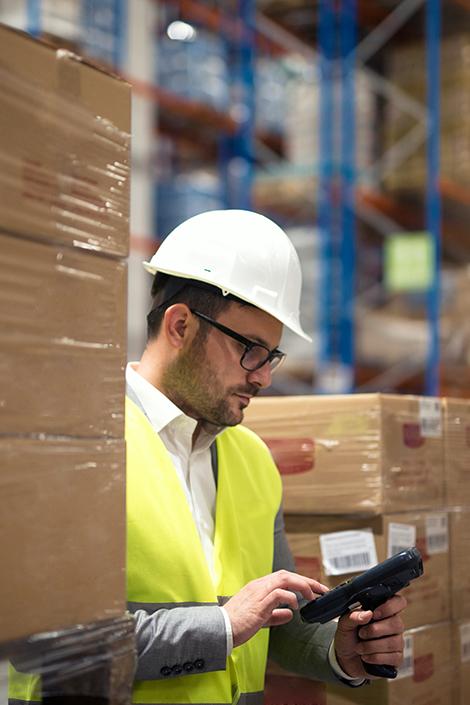 logistica